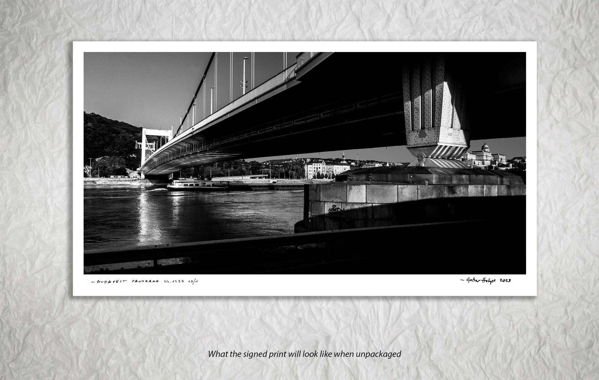 BUDAPEST PANORAMA No.3791BW                           "THE JUMP"